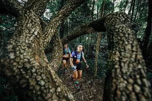 BIB: 
                            <button type="button" onclick="openModal(25392751)" class="btn btn-primary btn-sm float-right btn-popup" data-toggle="modal" data-target=".modal-high-quality">
                        <i class="fas fa-shopping-cart"></i> Add to Cart
                    </button>
                                            <button type="button" onclick="isThisMe(25392751, true)" class="btn btn-success btn-sm float-right btn-popup btn-isme hidden" data-toggle="tooltip" data-placement="bottom" title="นี่คือรูปของคุณใช่ไหม คลิกที่นี่เพื่อเอาเข้าอัลบั้ม">
                        <i class="fas fa-plus"></i> Add to album
                    </button>
                    <button type="button" onclick="isThisMe(25392751, false)" class="btn btn-warning btn-sm float-right btn-popup btn-isnotme hidden">
                        <i class="fas fa-ban"></i> Remove from album
                    </button>